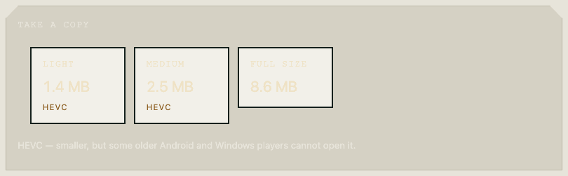Choosing a size before taking a copy